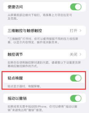 阜沙镇苹果授权维修站分享iPhone轻点无法唤醒怎么办 