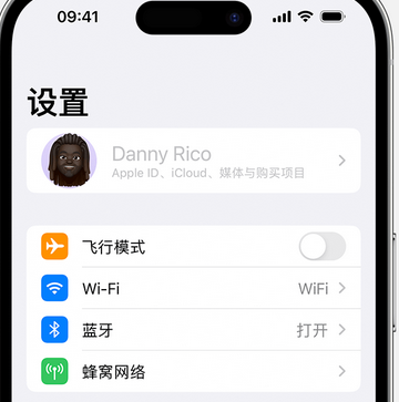 阜沙镇appleID维修服务iPhone设置中Apple ID显示为灰色无法使用