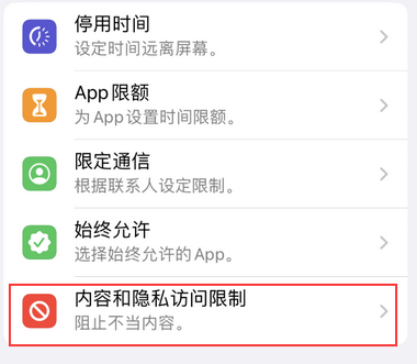 阜沙镇appleID维修服务iPhone设置中Apple ID显示为灰色无法使用