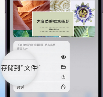 阜沙镇apple维修中心分享iPhone文件应用中存储和找到下载文件