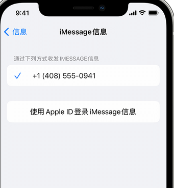 阜沙镇apple维修iPhone上无法正常发送iMessage信息