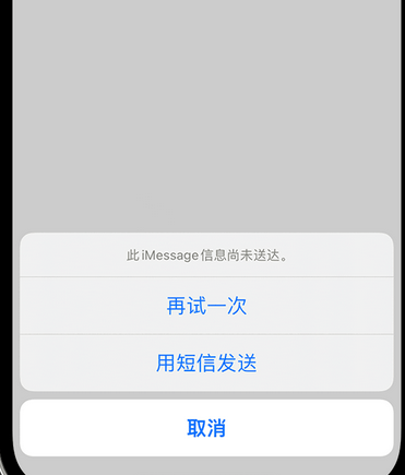 阜沙镇apple维修iPhone上无法正常发送iMessage信息