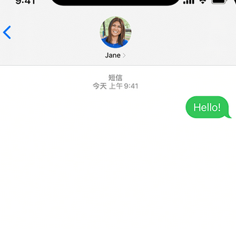 阜沙镇apple维修iPhone上无法正常发送iMessage信息