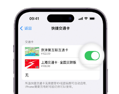 阜沙镇apple维修点分享iPhone上更换Apple Pay快捷交通卡手绘卡面 