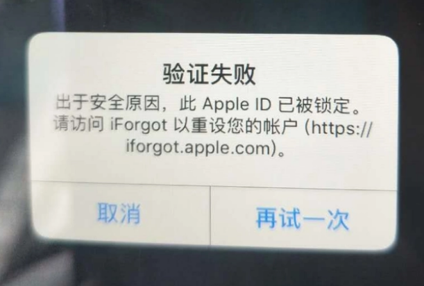 阜沙镇iPhone维修分享iPhone上正常登录或使用AppleID怎么办 