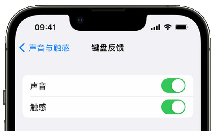 阜沙镇苹果手机维修分享iPhone 14触感键盘使用方法 