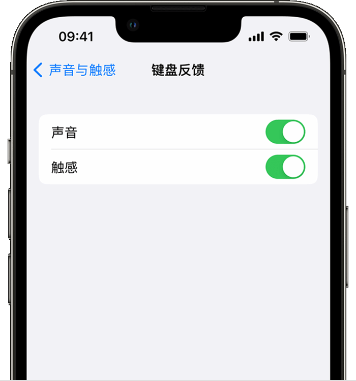 阜沙镇苹果14维修店分享如何在 iPhone 14 机型中使用触感键盘 