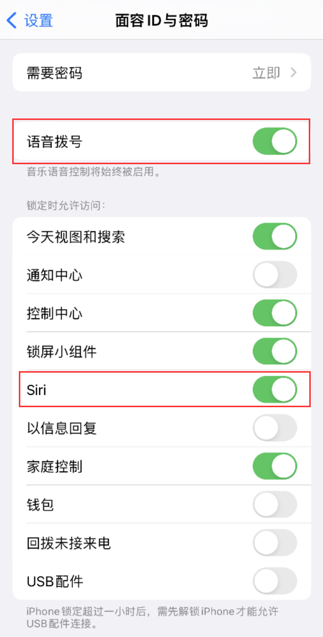 阜沙镇苹果维修网点分享不解锁 iPhone 的情况下通过 Siri 拨打电话的方法 