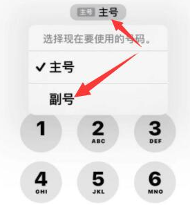 阜沙镇苹果14维修店分享iPhone 14 Pro Max使用副卡打电话的方法 