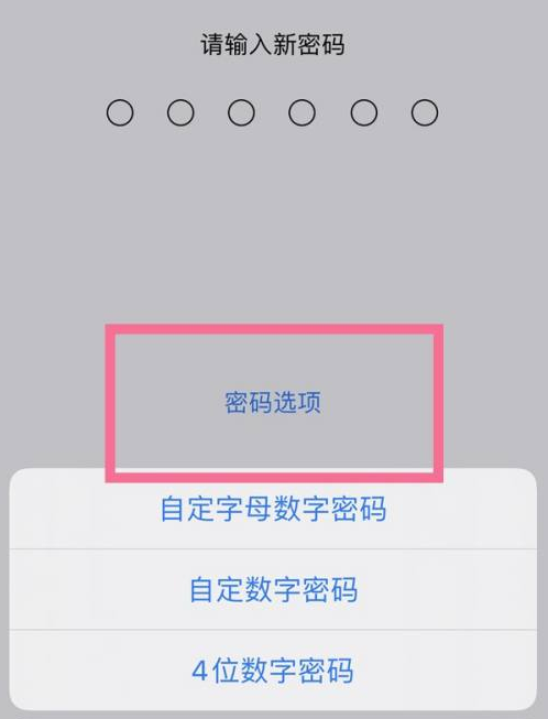 阜沙镇苹果14维修分享iPhone 14plus设置密码的方法 