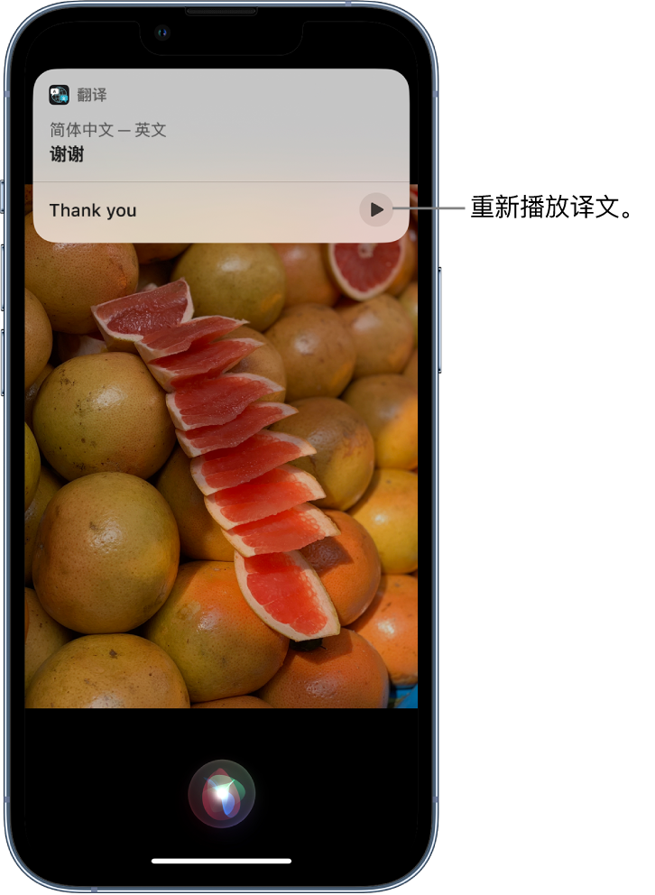 阜沙镇苹果14维修分享 iPhone 14 机型中使用 Siri：了解 Siri 能帮你做什么 