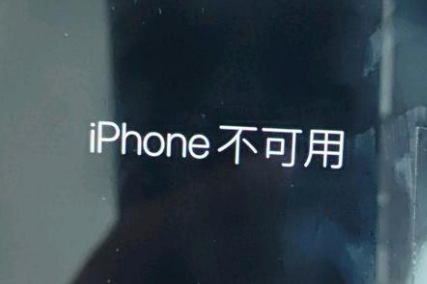 阜沙镇苹果服务网点分享锁屏界面显示“iPhone 不可用”如何解决 