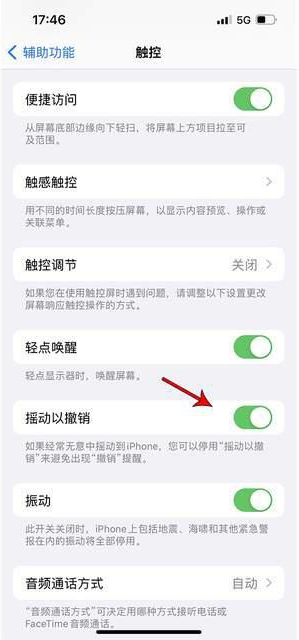 阜沙镇苹果手机维修分享iPhone手机如何设置摇一摇删除文字 