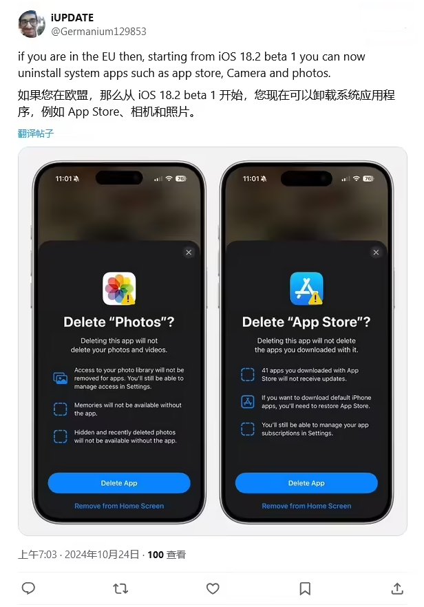 阜沙镇苹果手机维修分享iOS 18.2 支持删除 App Store 应用商店 