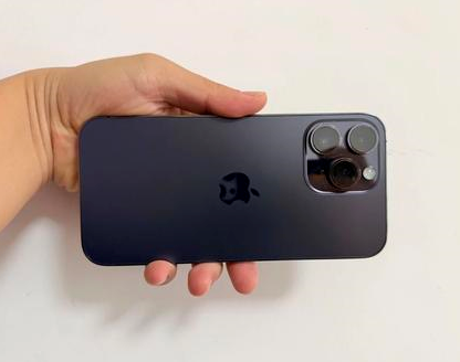 阜沙镇苹果维修点分享iPhone 14 Pro Max发烫多重诱因剖析 